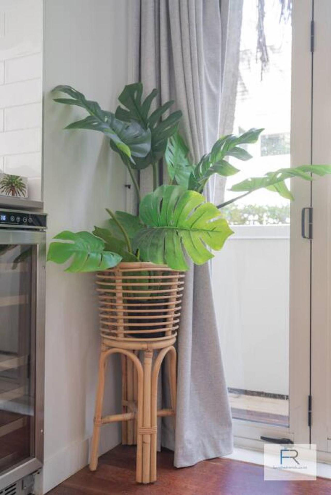 Chic Parnell Townhouse Vila Auckland Exterior foto